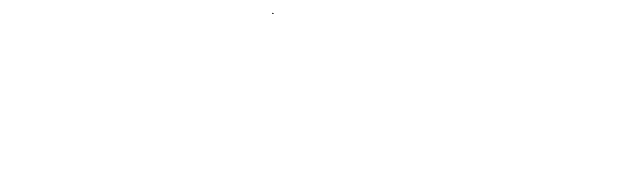 Digiax logo.ai (2654 x 748 px) (1)