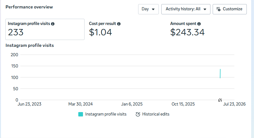 Instagram campaign results showing 233 profile visits at 1 dollar and 4 cents per result